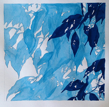 Blätter, Blautöne, Aquarell auf Papier 50x50cm 2018